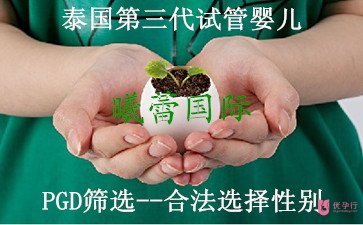 影響試管嬰兒成功率較主要的原因?