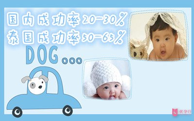 去泰國做試管嬰兒的服務流程