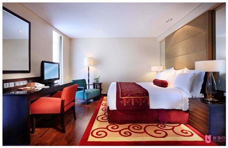 如何提高卵子質量,增加受孕幾率?