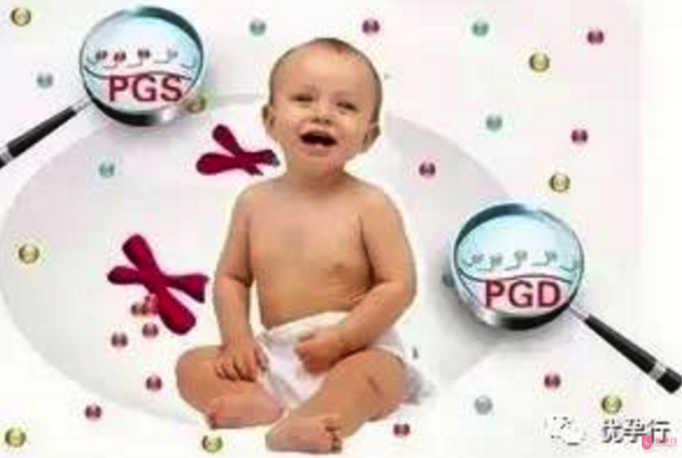 美國試管嬰兒優勢