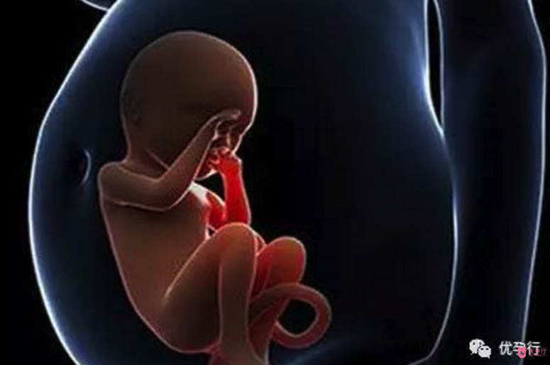 45歲還在等自然受孕,不是她不愿意做試管嬰兒,因為她很在意這三件事!