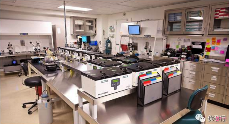 美國(guó)試管嬰兒到底牛在哪?