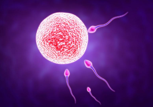 一千零一故事011：高齡女性又結(jié)過(guò)扎如何做試管