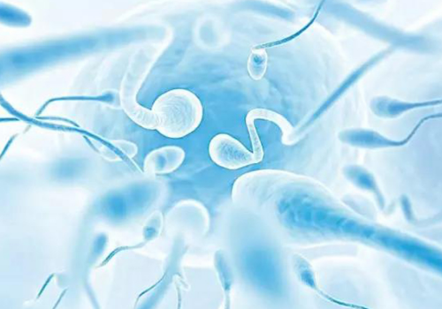 美國試管嬰兒卵泡發育不好的原因究竟是什么