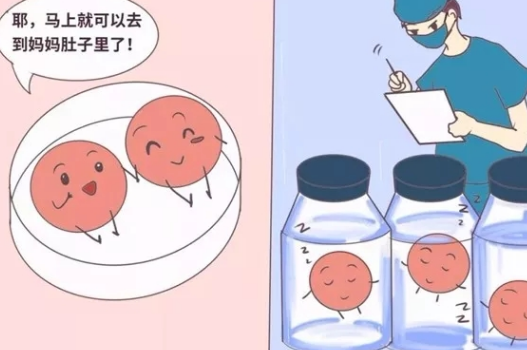 促排卵會(huì)使女性提前的衰老嗎