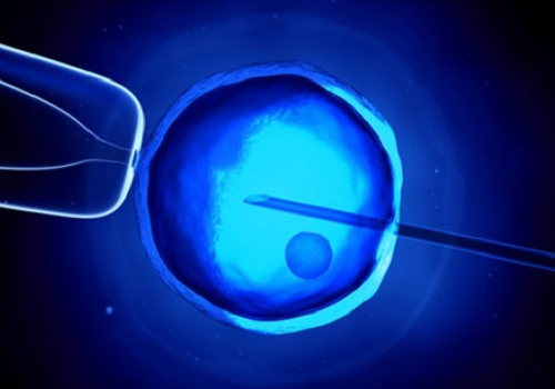 試管嬰兒囊胚移植后會(huì)出現(xiàn)哪些不適反應(yīng)