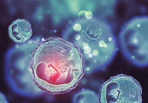 去俄羅斯做試管嬰兒費用高嗎