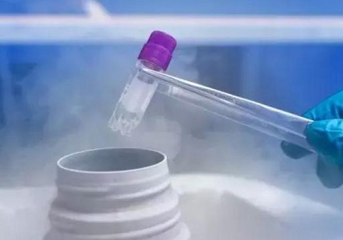 美國(guó)試管嬰兒成功率有多高