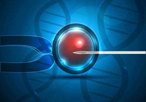 俄羅斯試管收費解析