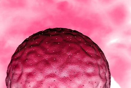 去泰國做試管嬰兒費用多少?什么因素導致費用要十幾萬?