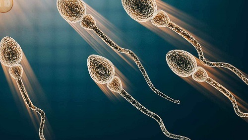 泰國做第三代試管嬰兒費用多不多?會花多少錢?