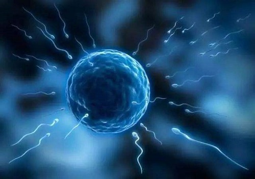 美國試管嬰兒多少錢?這些費用少不了!