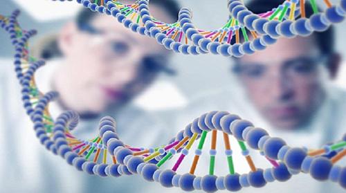 泰國做試管嬰兒技術(shù)的成功率高嗎?