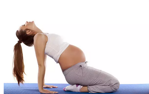 泰國試管嬰兒哪家醫(yī)院好?成功率高?