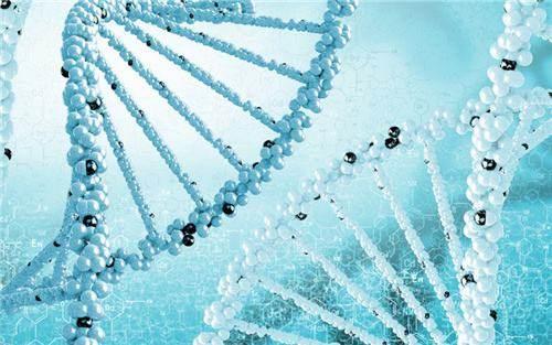 泰國試管各環節具體需要多少天