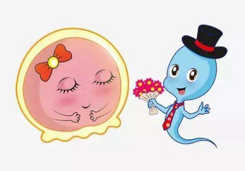 泰國第三代試管價格多少？