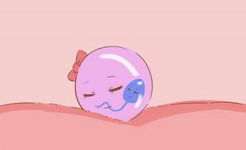 美國做的第三代試管價格?