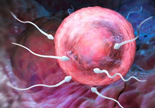 泰國第三代試管嬰兒技術成功率?