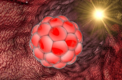 泰國做個試管嬰兒一共需要花多少錢？